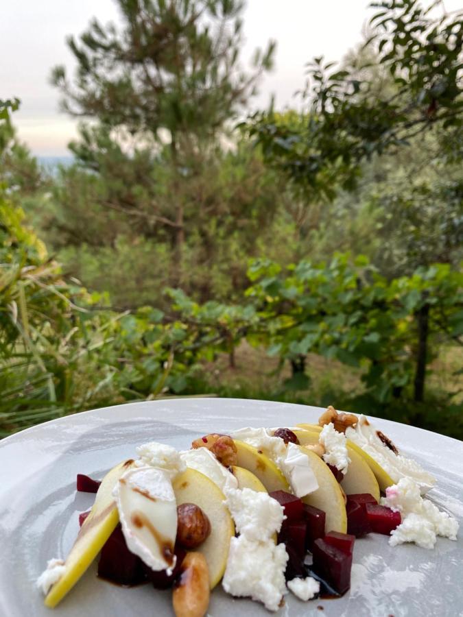 Quinta Abelha Villa Pico Dış mekan fotoğraf
