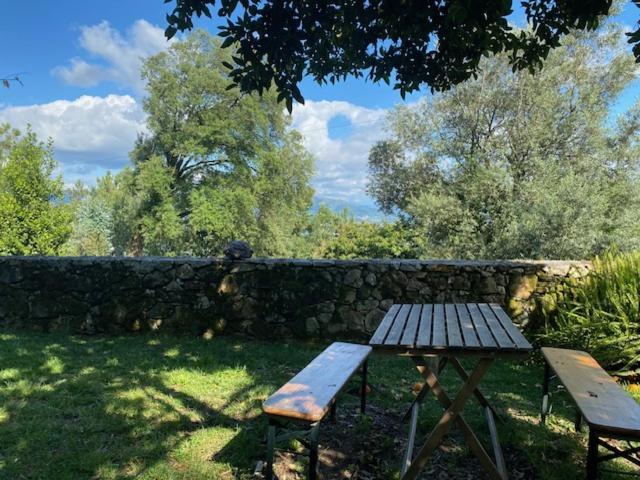 Quinta Abelha Villa Pico Dış mekan fotoğraf